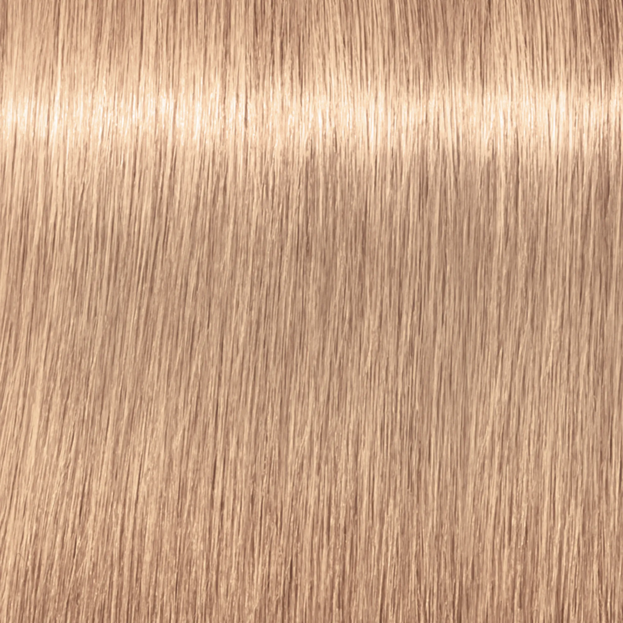Schwarzkopf Igora Royal Highlifts - 12-2 special blonde ash
