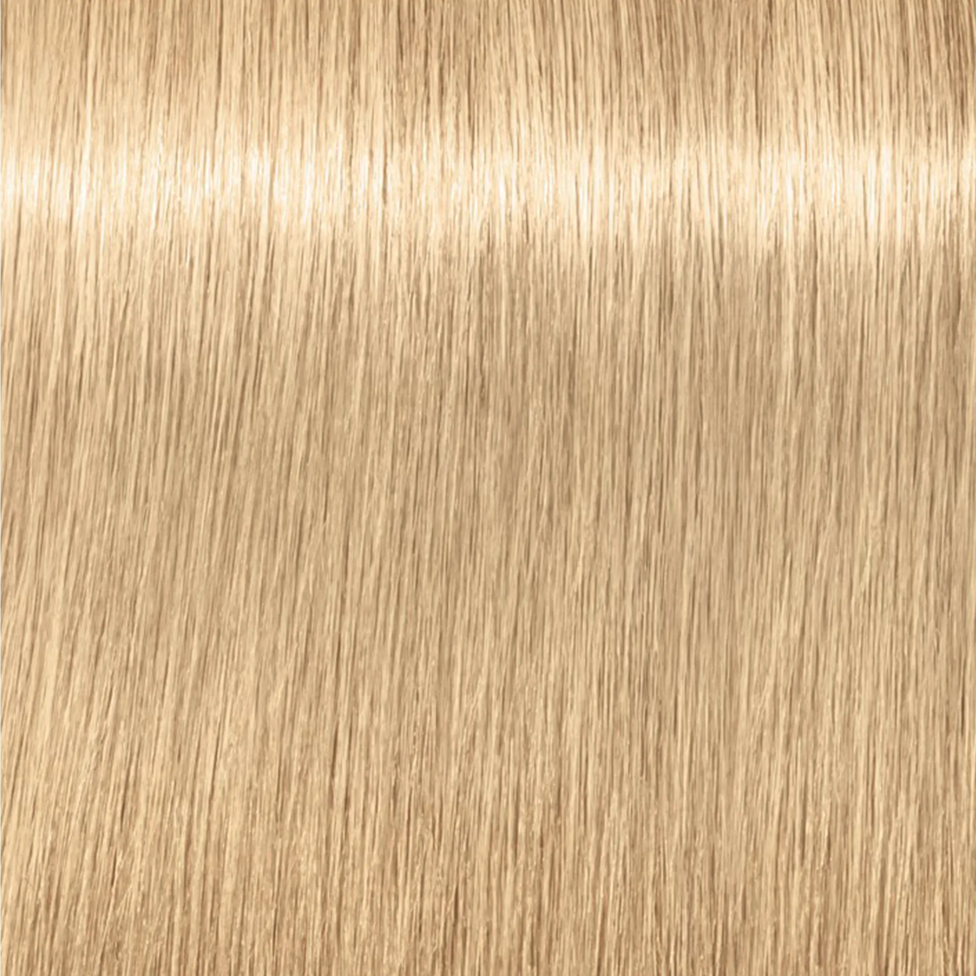 Schwarzkopf Igora Royal Highlifts - 12-2 special blonde ash