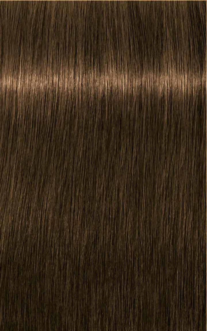 Schwarzkopf Igora Royal Absolutes - 4-60 medium brown chocolate natural