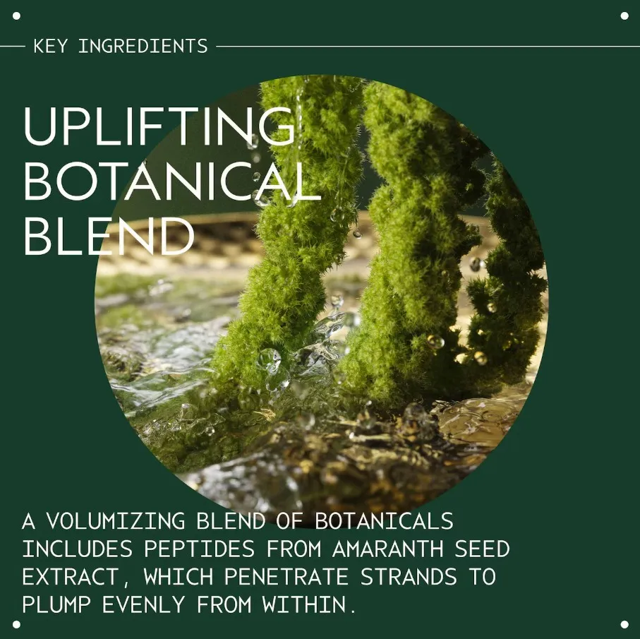 Aveda Pure Abundance Volumising Shampoo