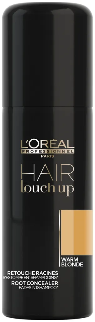 L'Oréal Hair Touch Up - black