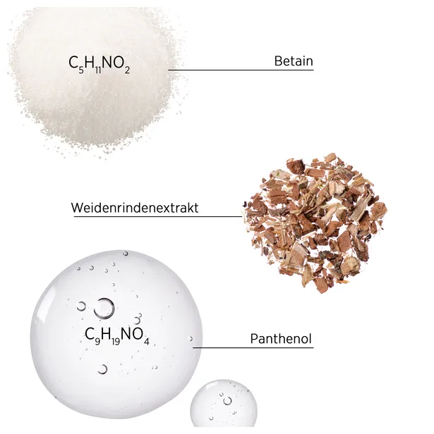 System Professional Lipid Code Balance Shampoo