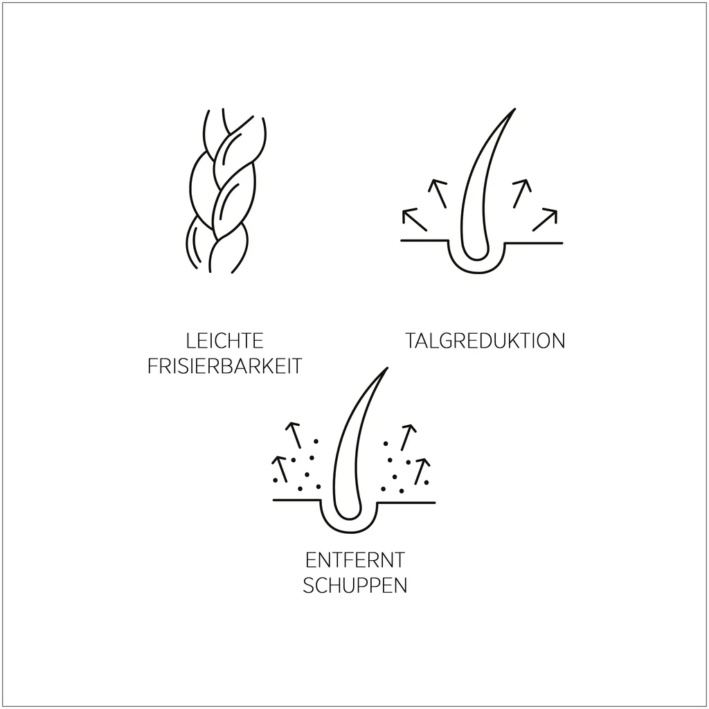 System Professional Lipid Code Purify Shampoo