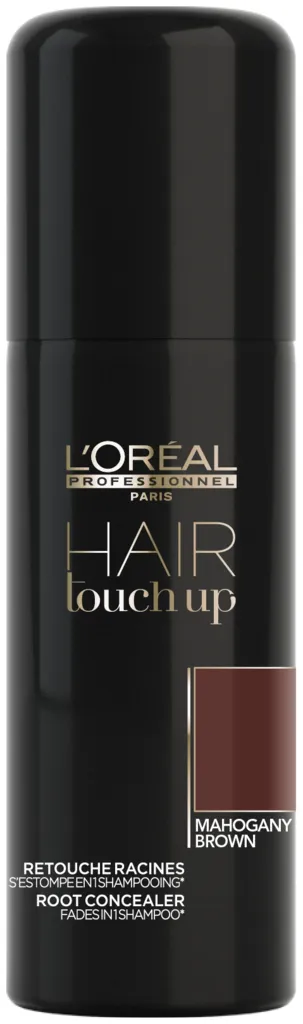 L'Oréal Hair Touch Up - black