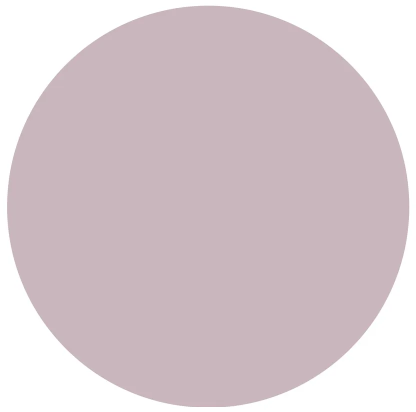 Alessandro Striplac Peel Or Soak Nail Polish