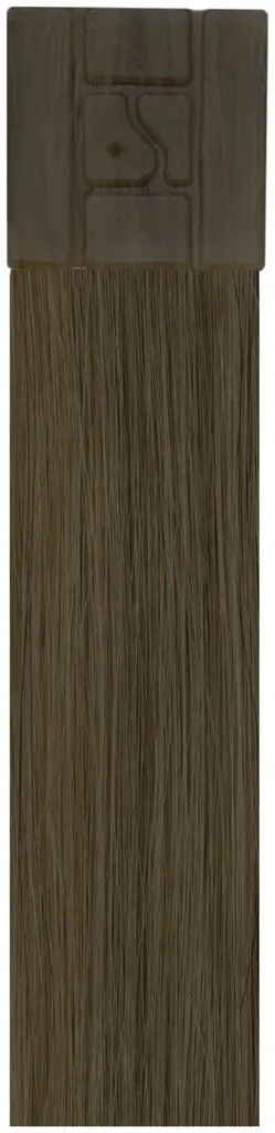 SHE Bonding Extensions Ash Blonde Colour 10