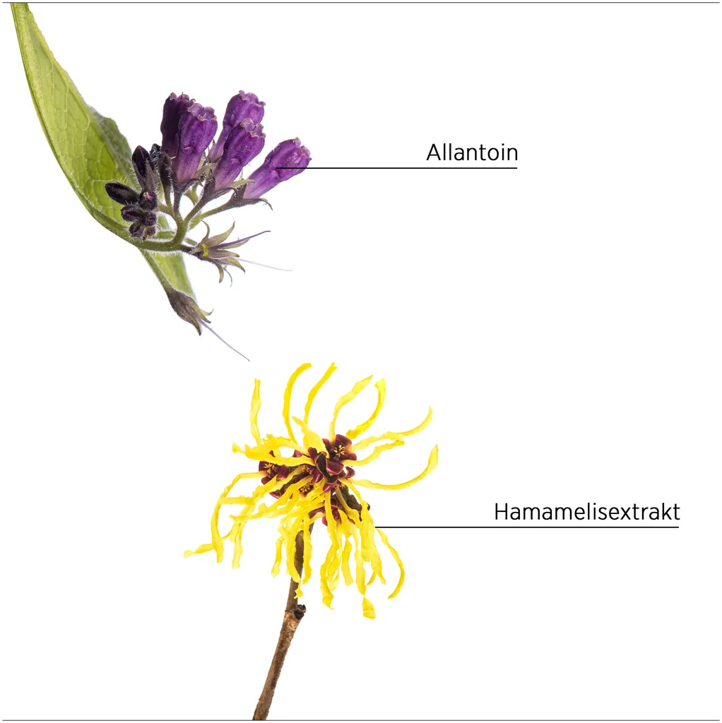 System Professional Lipid Code Purify Shampoo