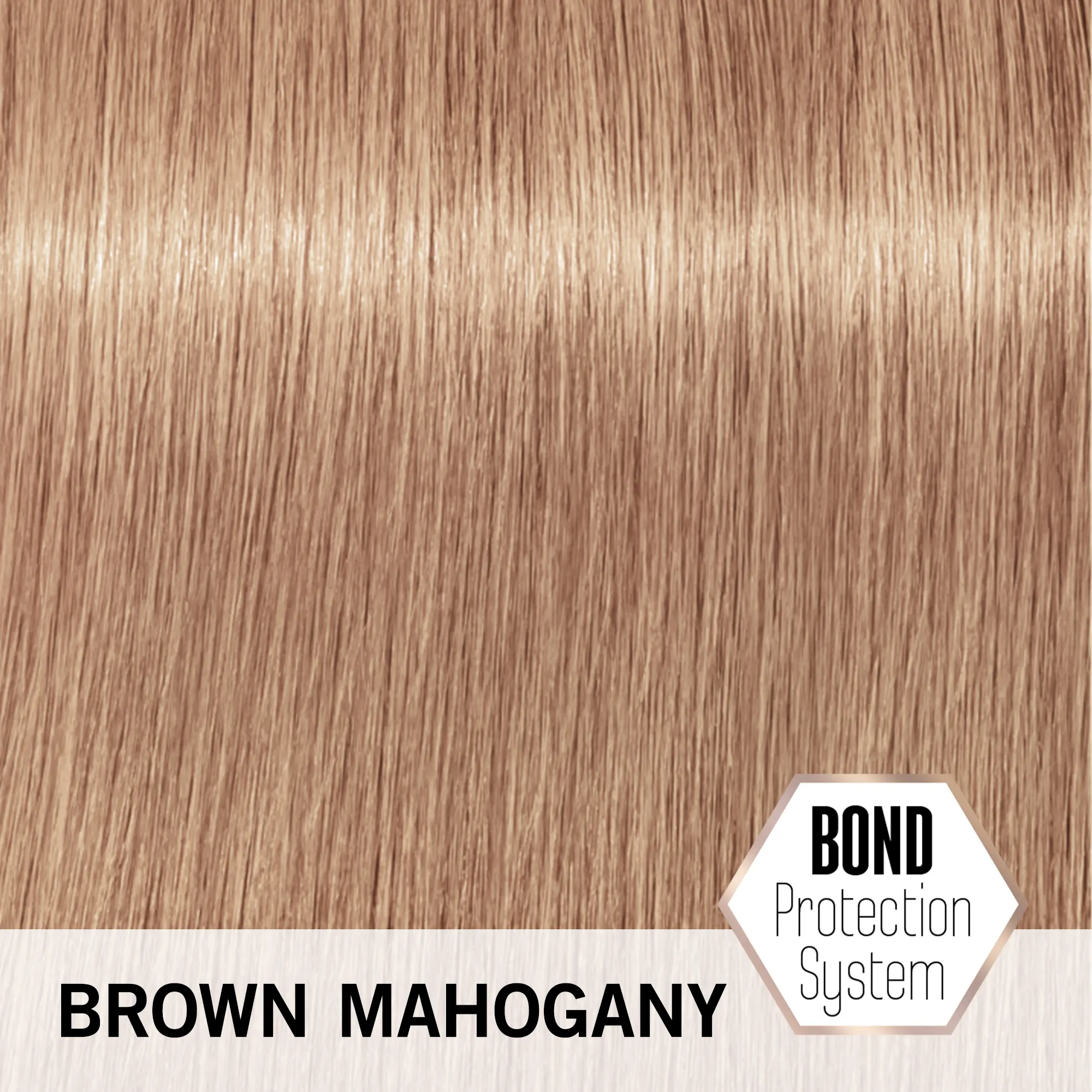 Schwarzkopf Blondme Lift & Blend