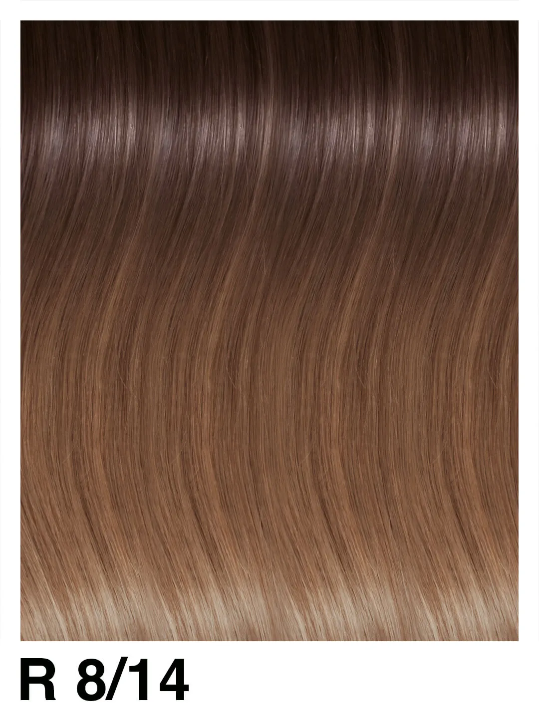 SHE Clip System Beverly Extensions Rooted 45/50 cm