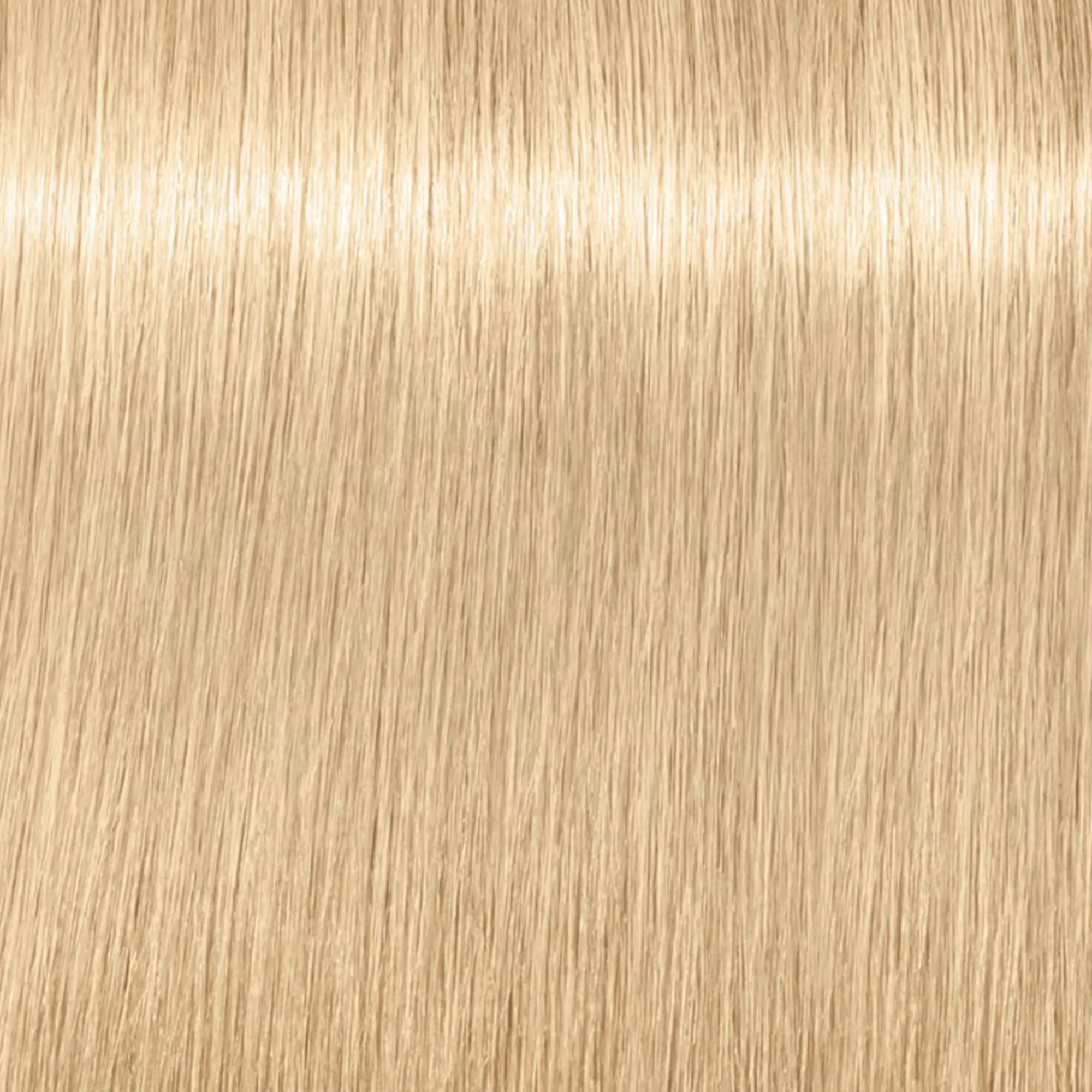 Schwarzkopf Igora Royal Highlifts - 12-2 special blonde ash