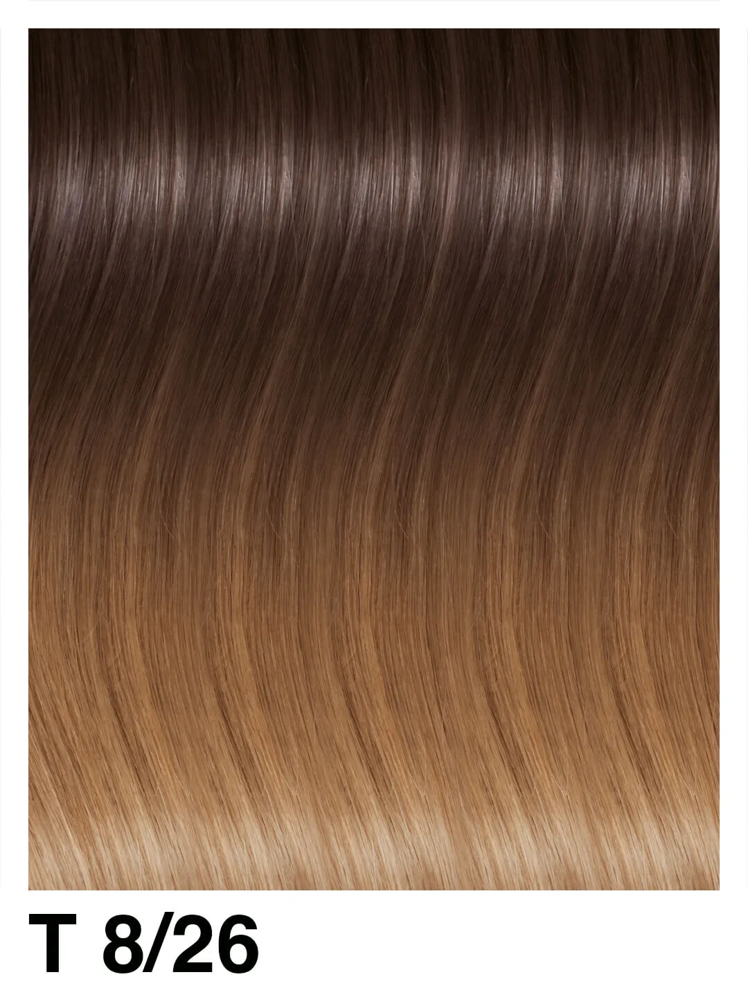 SHE Weft Shatush Extensions 50/55cm