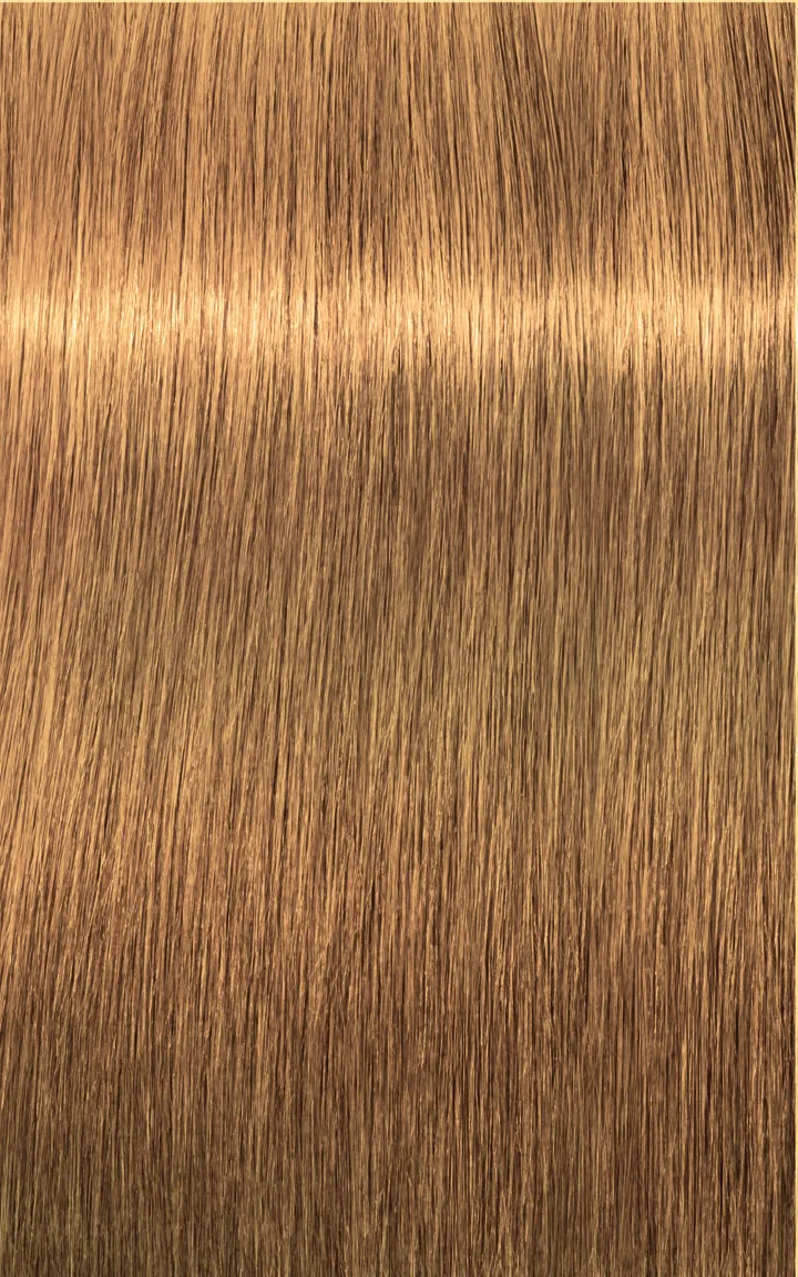 Schwarzkopf Igora Royal Absolutes - 4-60 medium brown chocolate natural