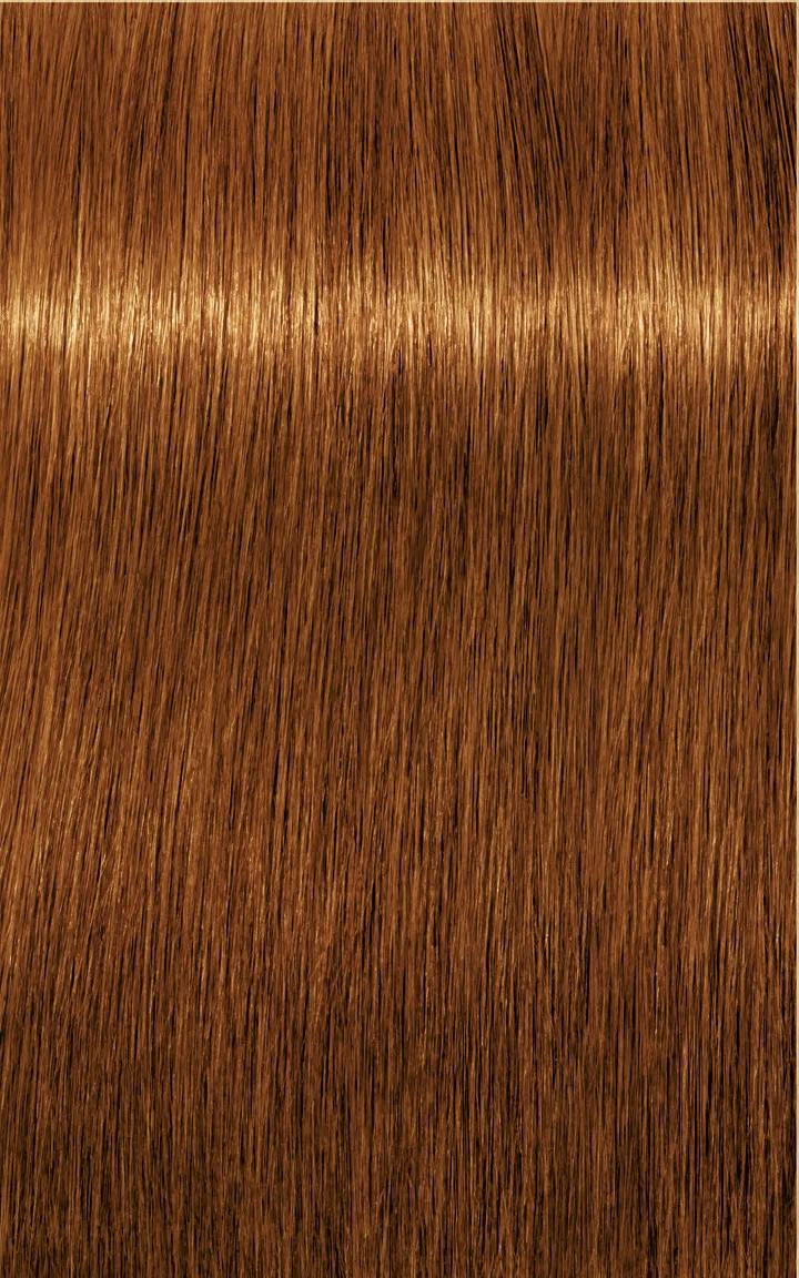 Schwarzkopf Igora Royal Absolutes - 4-60 medium brown chocolate natural