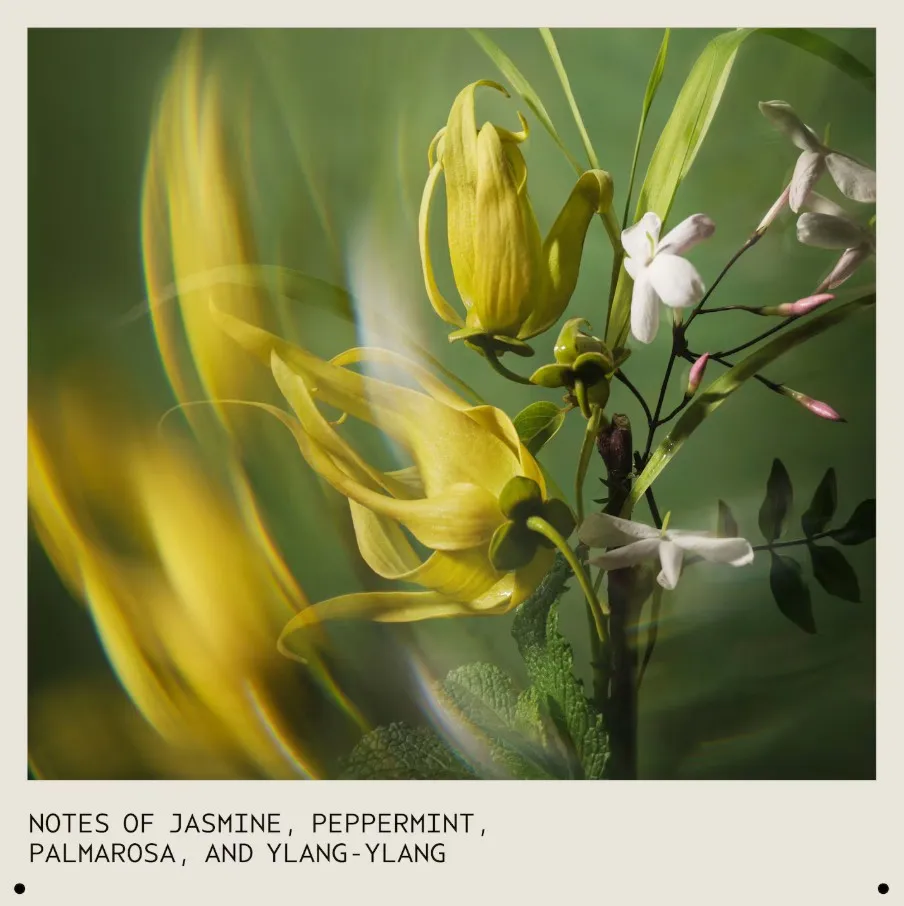 Aveda Pure Abundance Volumising Shampoo