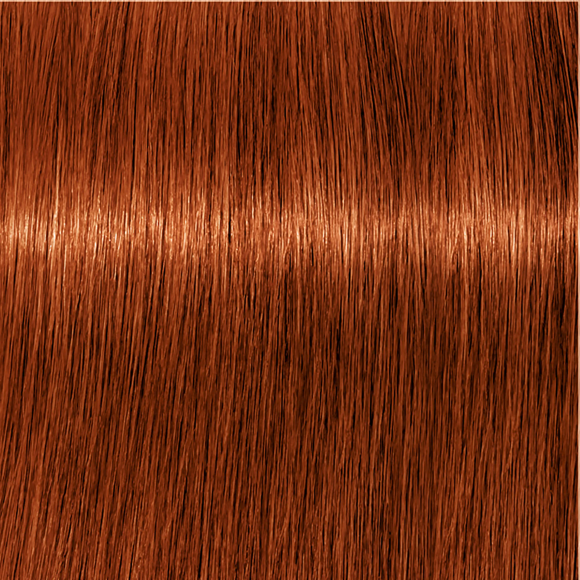 Schwarzkopf Igora Royal - 1-0 black natural
