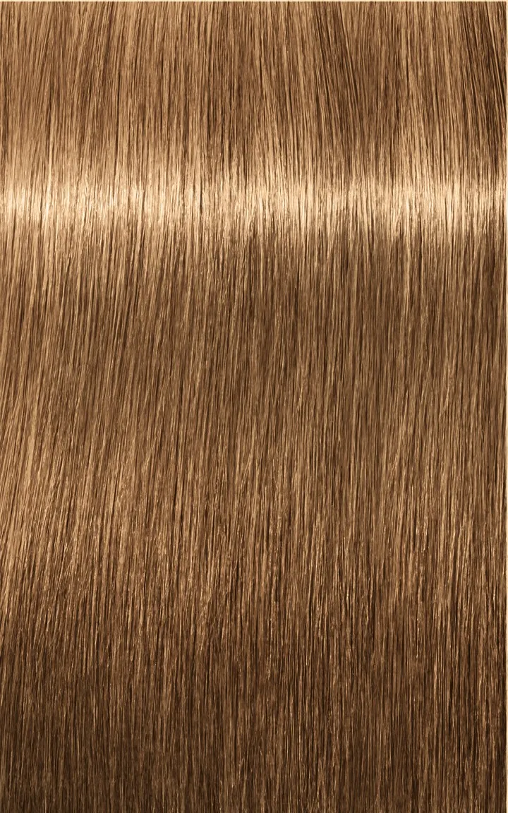 Schwarzkopf Igora Royal Absolutes - 4-60 medium brown chocolate natural
