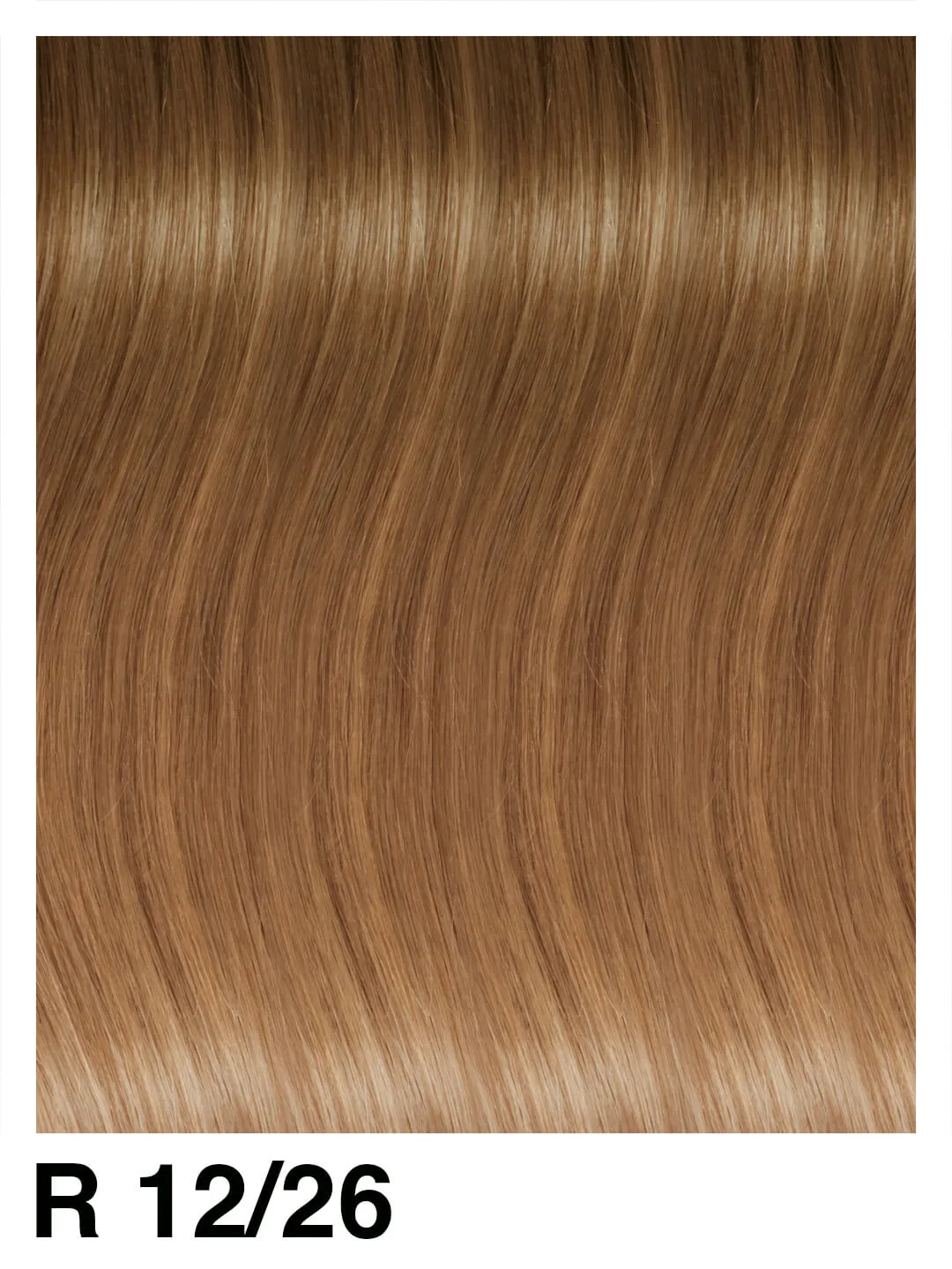 SHE Clip System Beverly Extensions Rooted 45/50 cm