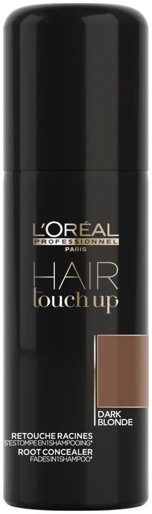 L'Oréal Hair Touch Up - black