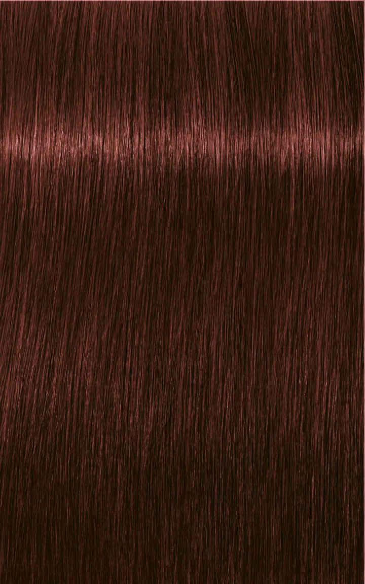 Schwarzkopf Igora Royal Absolutes - 4-60 medium brown chocolate natural