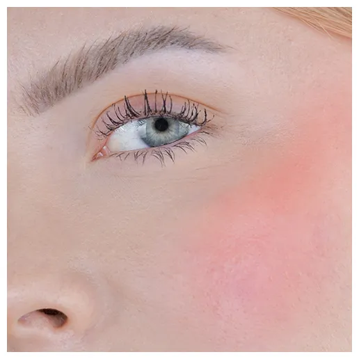 Fleeky Blush Stick - Blossom