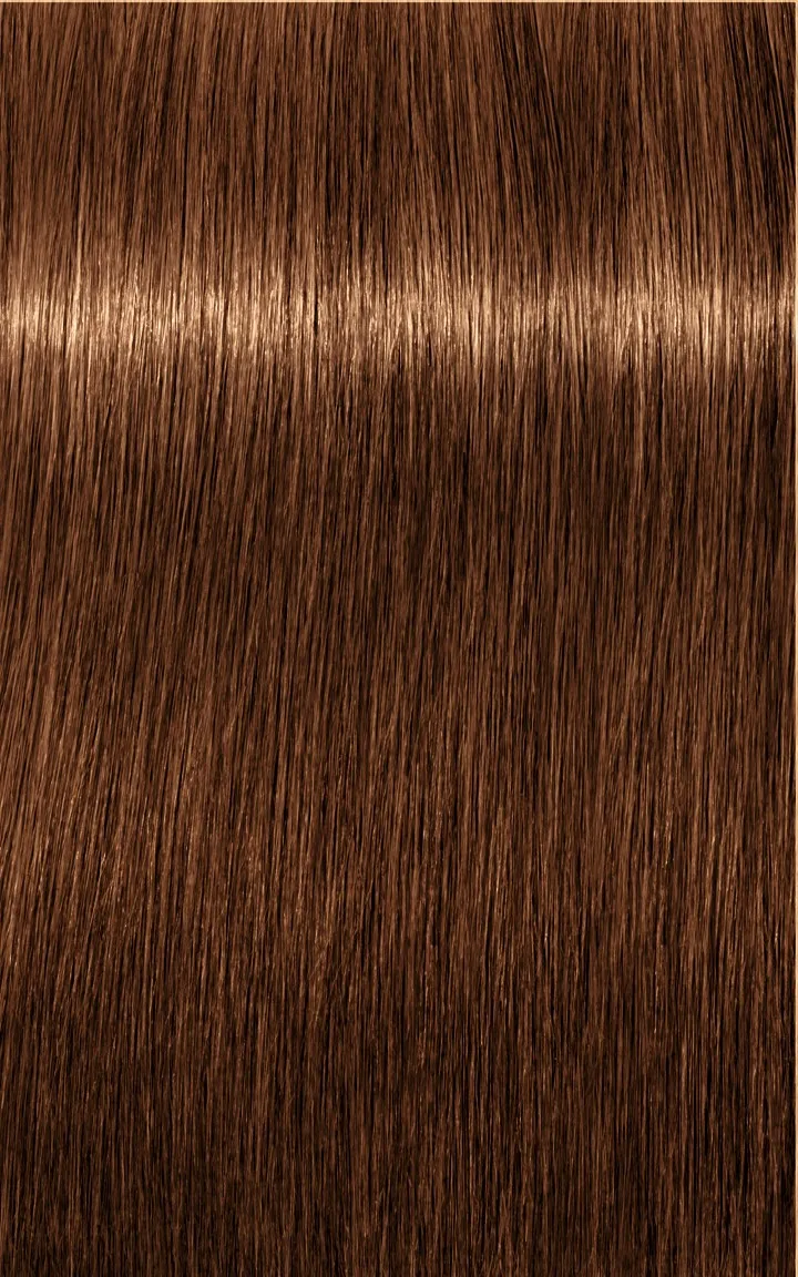 Schwarzkopf Igora Royal Absolutes - 4-60 medium brown chocolate natural