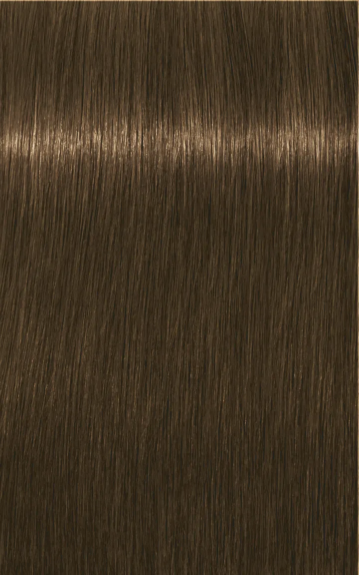 Schwarzkopf Igora Royal Absolutes - 4-60 medium brown chocolate natural