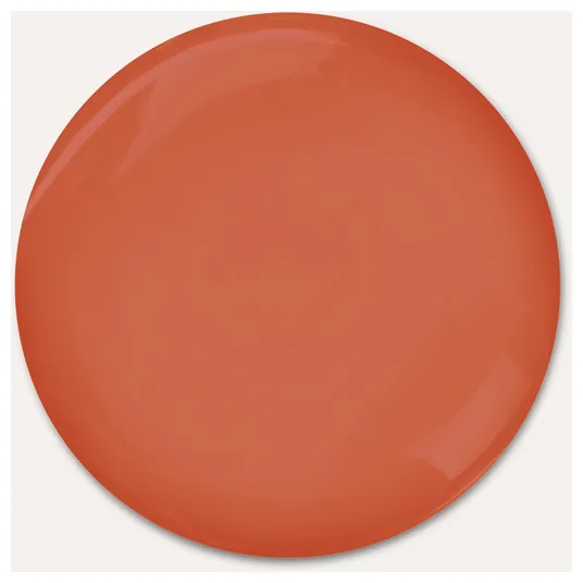 Rausch Special Shampoo with Willow Bark