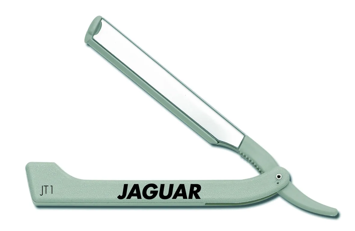 Jaguar JT1 - silver