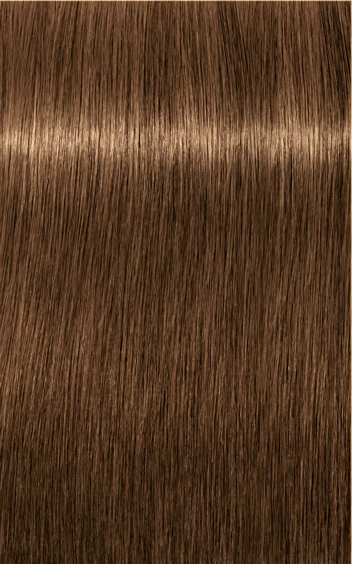 Schwarzkopf Igora Royal Absolutes - 4-60 medium brown chocolate natural