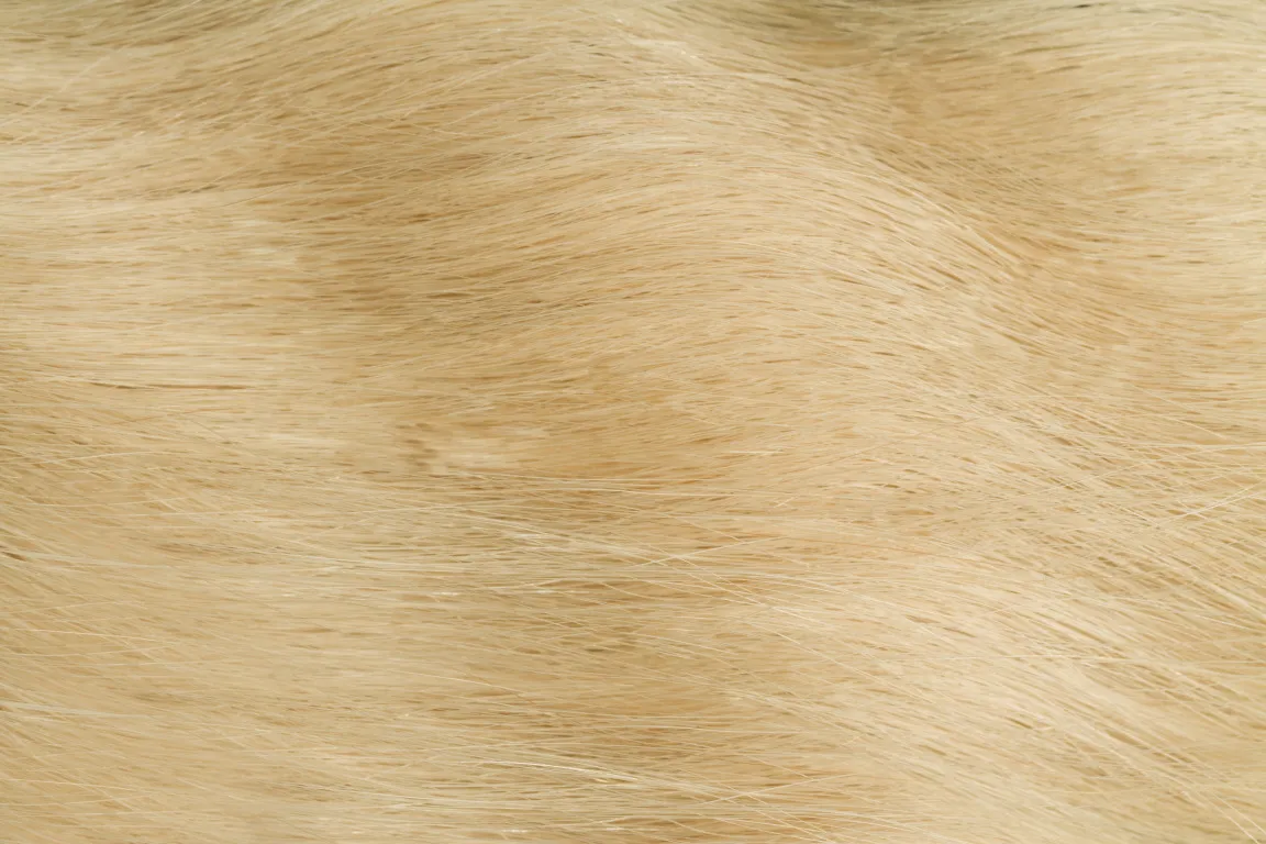 GoldFever Hair Tapes 25 cm