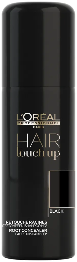 L'Oréal Hair Touch Up - black