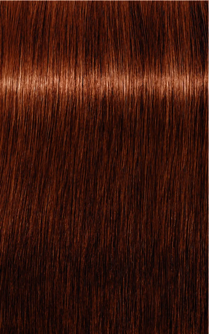 Schwarzkopf Igora Royal Absolutes - 4-60 medium brown chocolate natural