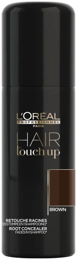 L'Oréal Hair Touch Up - black