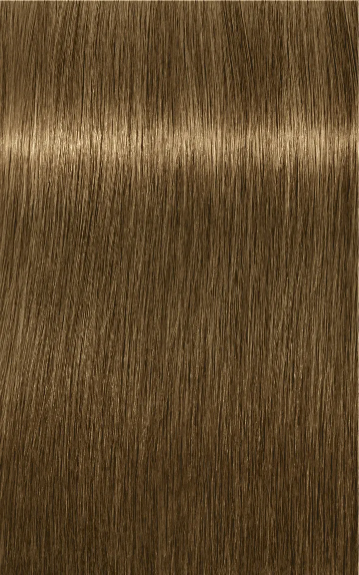 Schwarzkopf Igora Royal Absolutes - 4-60 medium brown chocolate natural