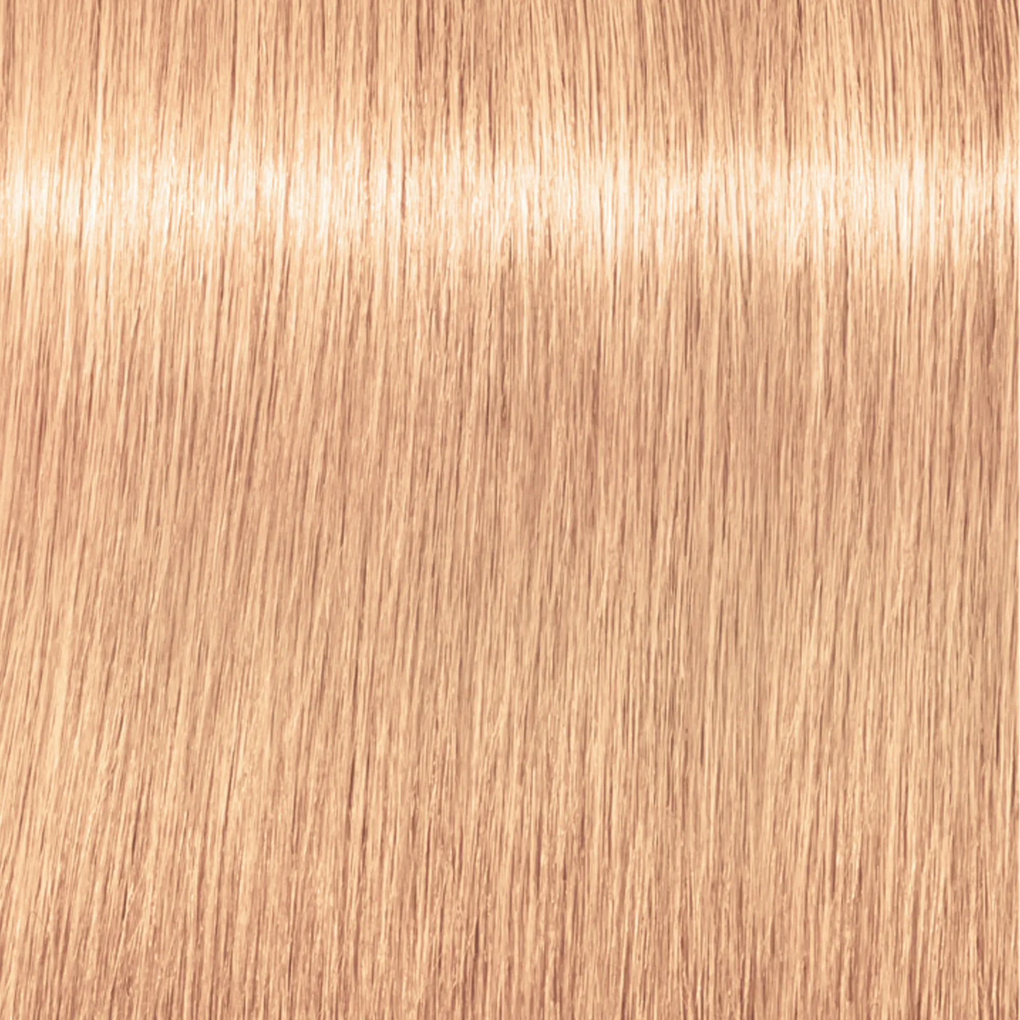 Schwarzkopf Igora Royal - 1-0 black natural