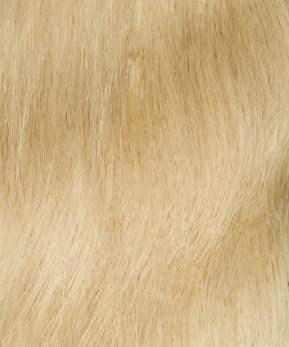 Gold Fever Bonding Extensions 45 cm