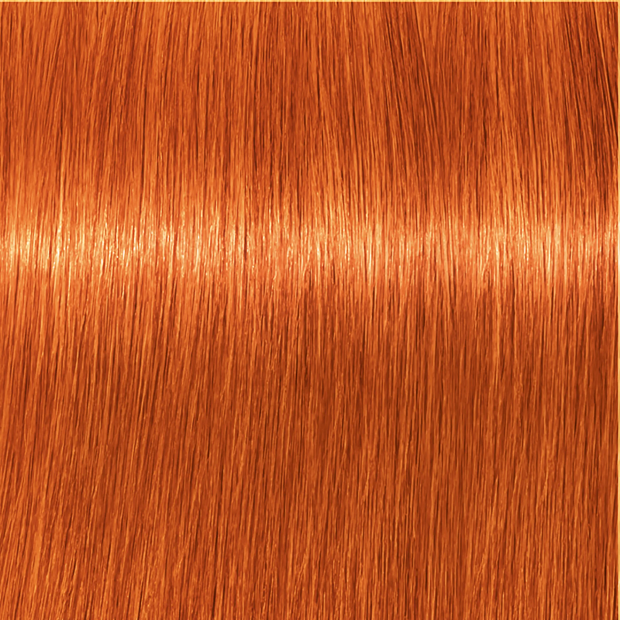 Schwarzkopf Igora Royal - 1-0 black natural