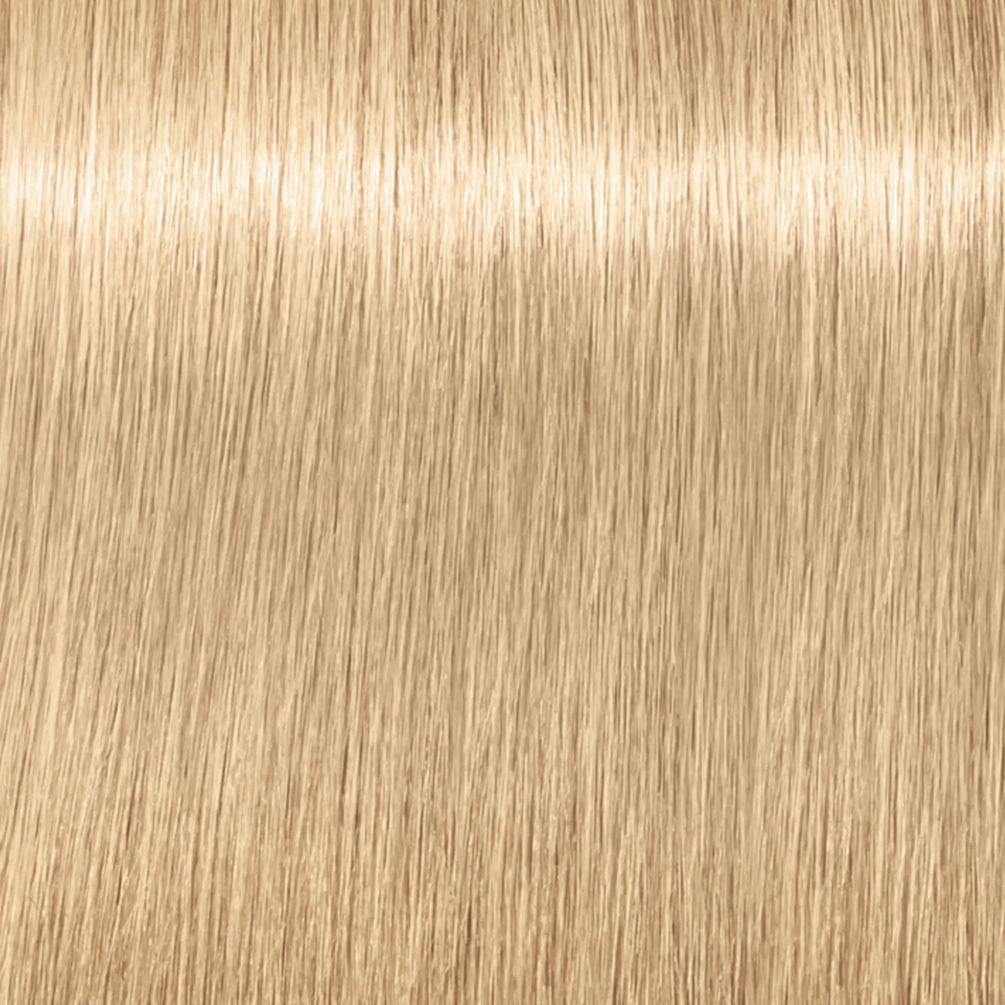 Schwarzkopf Igora Royal Highlifts - 12-2 special blonde ash