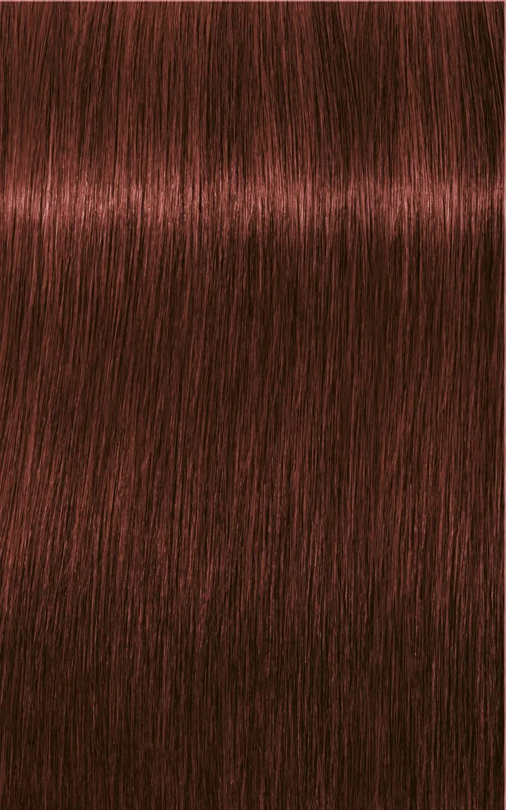 Schwarzkopf Igora Royal Absolutes - 4-60 medium brown chocolate natural