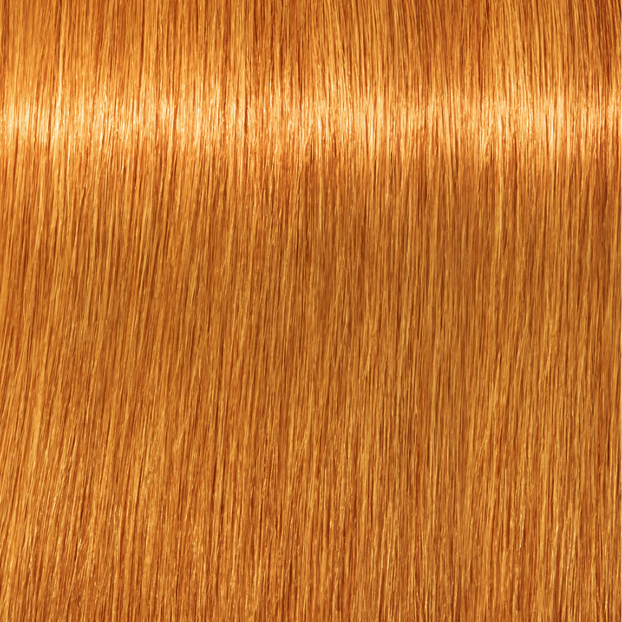 Schwarzkopf Igora Royal - 1-0 black natural