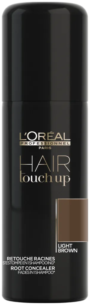 L'Oréal Hair Touch Up - black