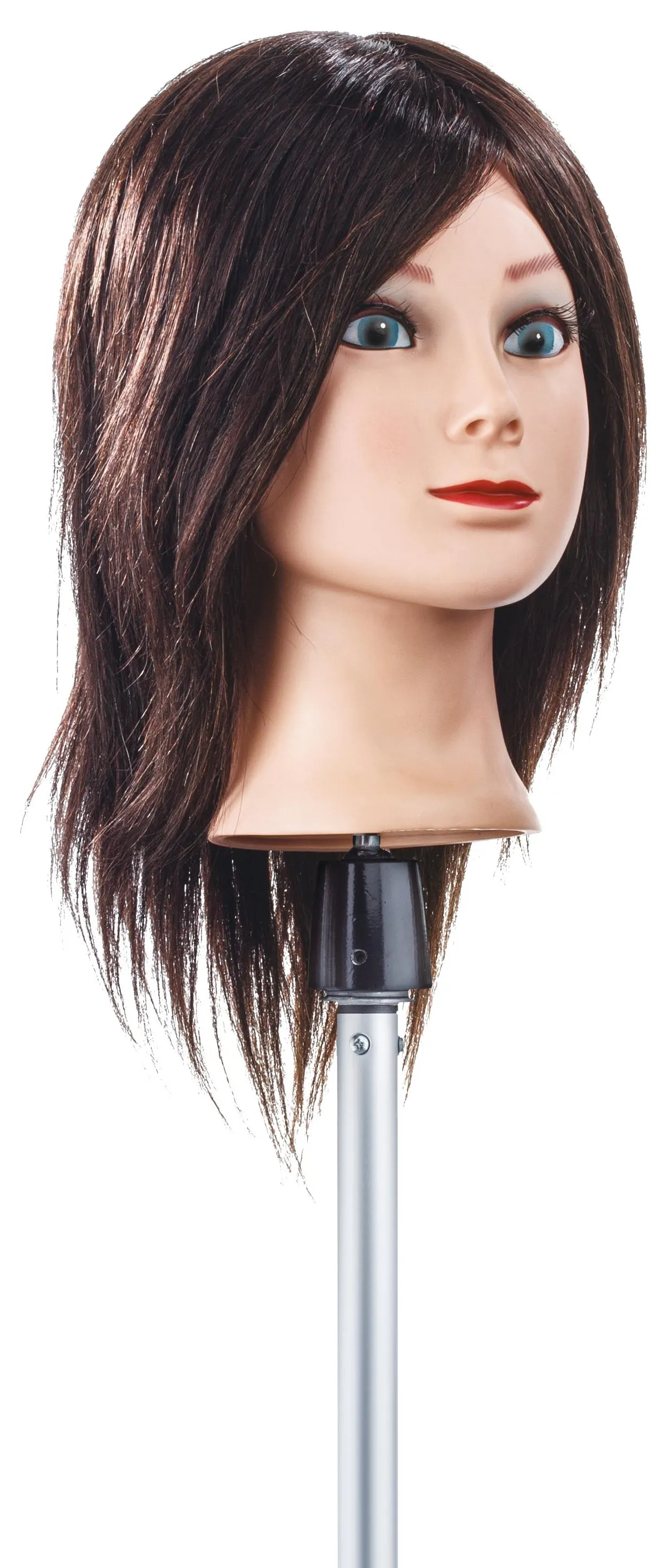 Medium Short Hair Training Head Length 30 Cm Colour 4