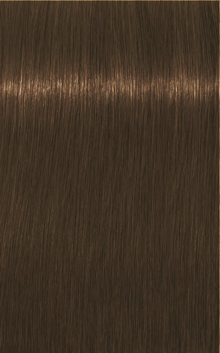 Schwarzkopf Igora Royal Absolutes - 4-60 medium brown chocolate natural