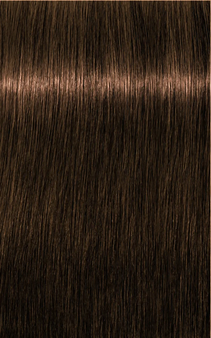 Schwarzkopf Igora Royal Absolutes - 4-60 medium brown chocolate natural
