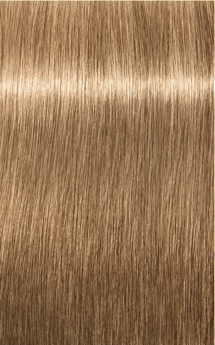 Schwarzkopf Igora Royal Absolutes - 4-60 medium brown chocolate natural